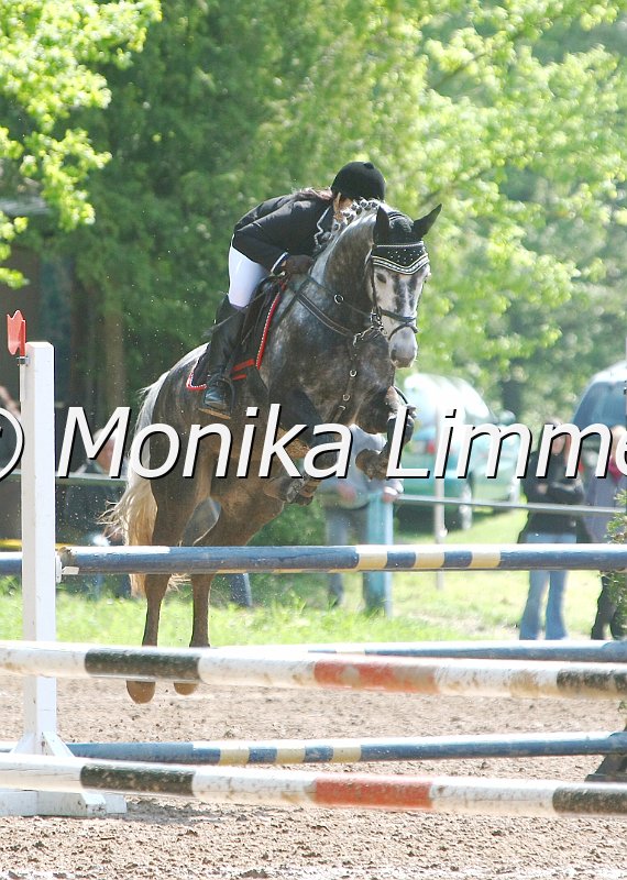 104M8047_e__Springpf L.jpg